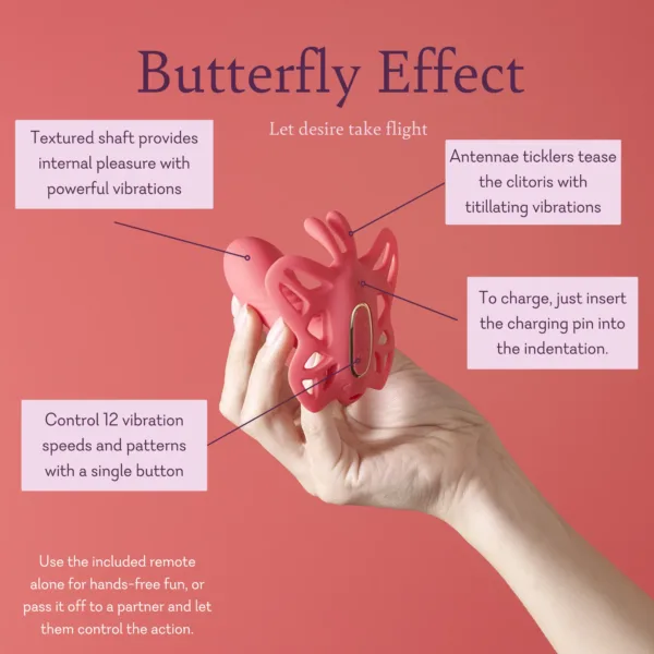 Butterfly Effect v4