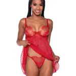 Shimmer Lace & Mesh Babydoll